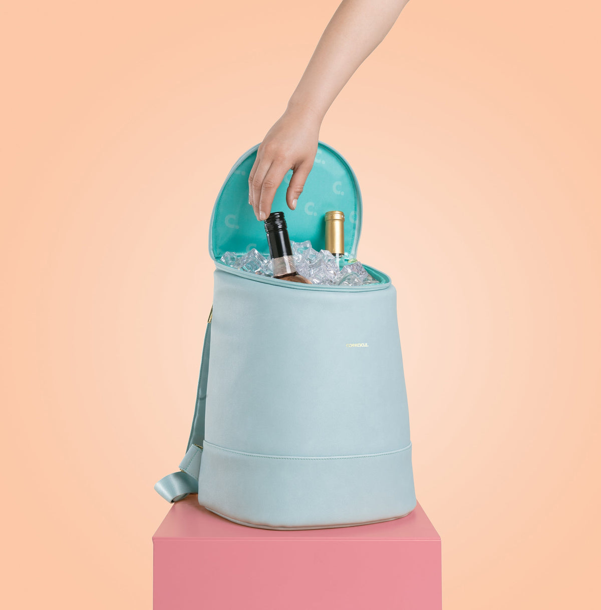 eola-bucket-cooler-bag-g1 a405954e83cf--EOLA-Bucket-copy.jpg